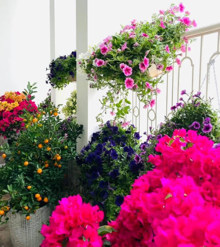 penthouse sunrise city