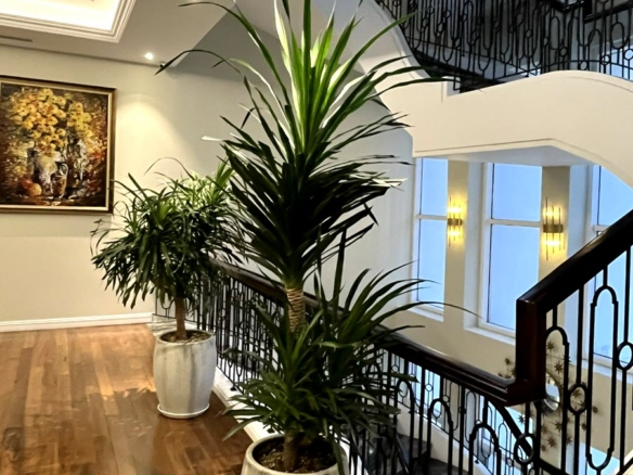 penthouse sunrise city