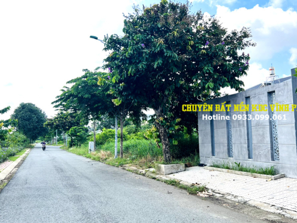 ban dat biet thu vinh phu