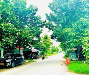 Giám 1 tỷ bán gấp đất biệt vườn thự bờ sông Sài Gòn, Vĩnh Phú Thuận An