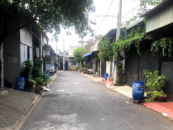 ban-nha-phuong-Binh-Hoa-Thuan-An