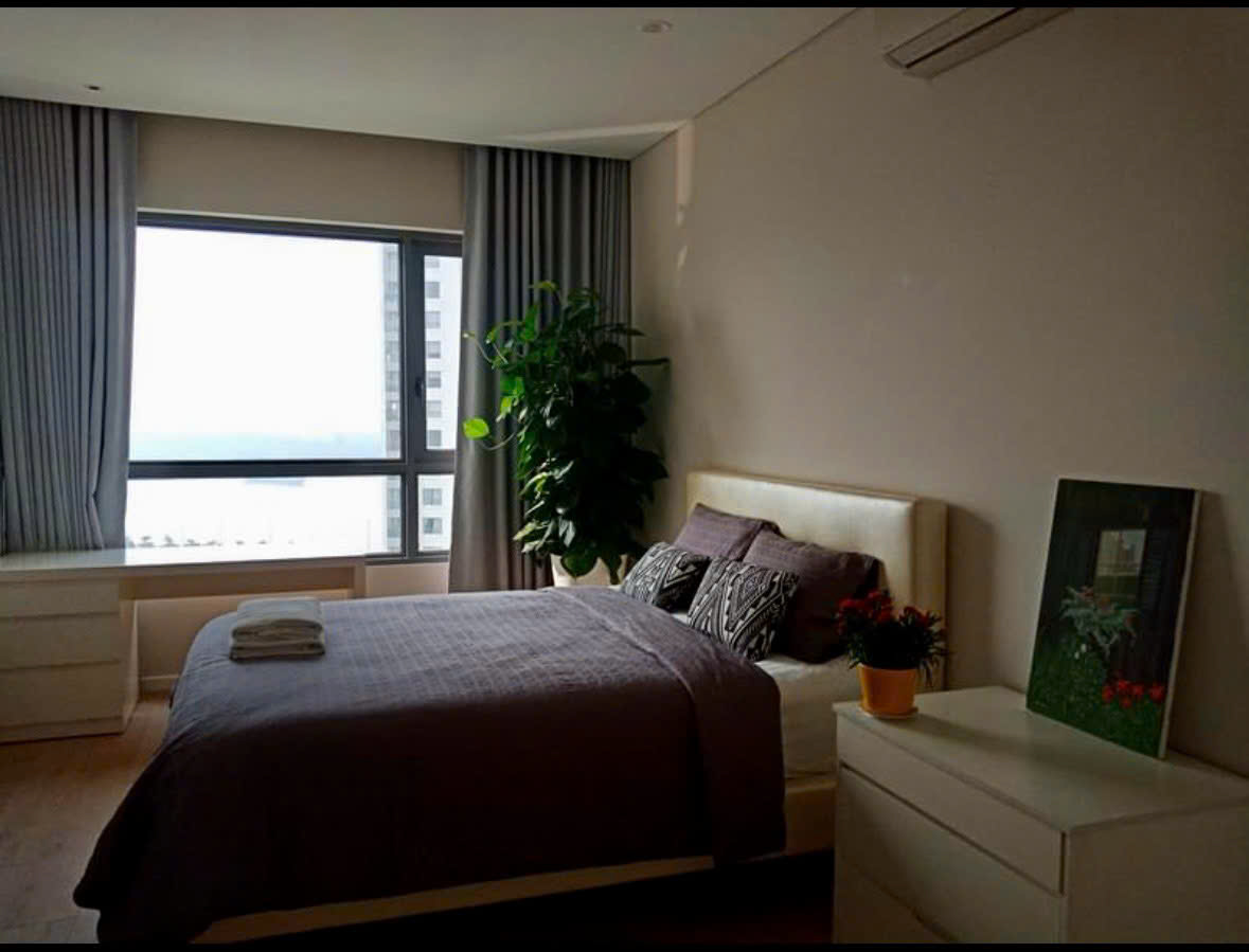 Dao-Kim-Cuong-cho-thue