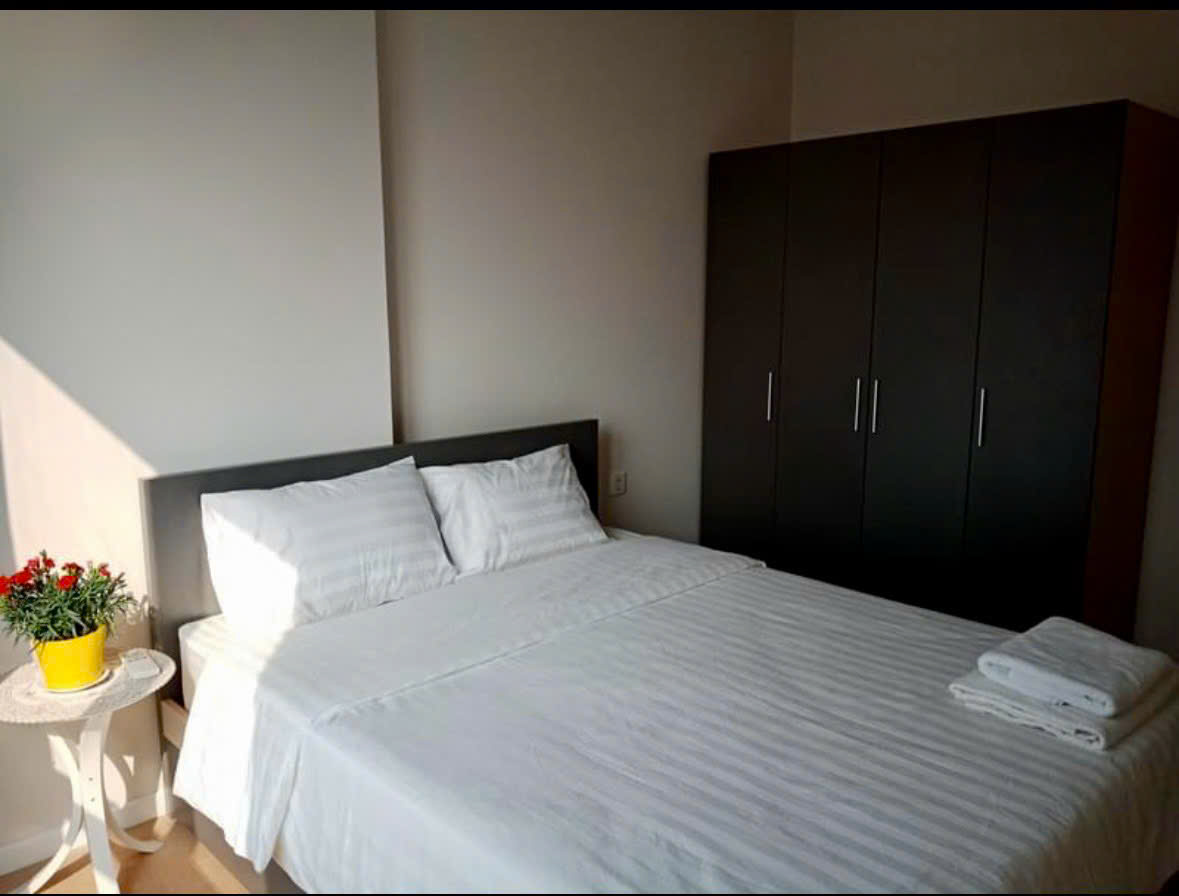 Dao-Kim-Cuong-cho-thue