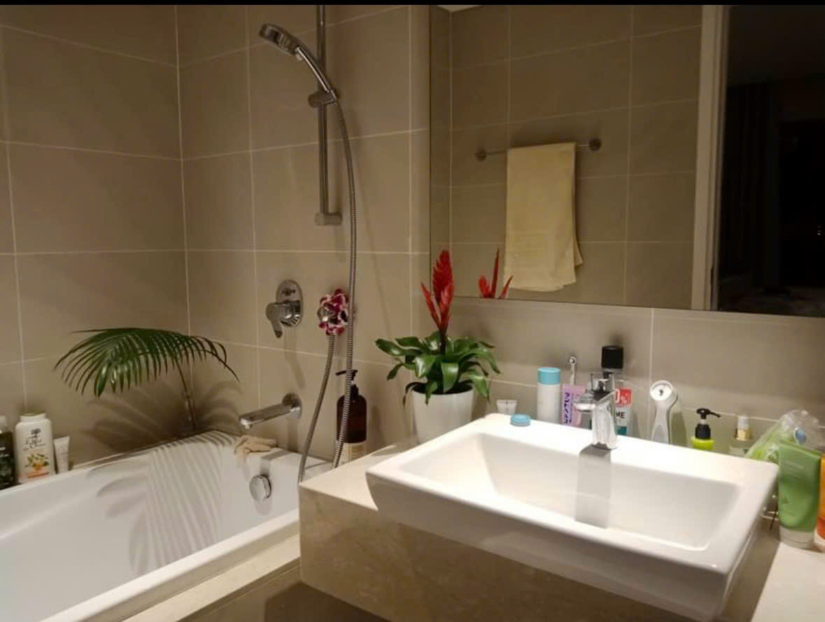 Dao-Kim-Cuong-cho-thue