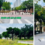 dat-nen-The-Seasons-Lai-Thieu