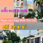 ban-dat-bo-song-Thu-Duc