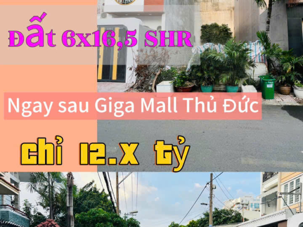 ban-dat-bo-song-Thu-Duc