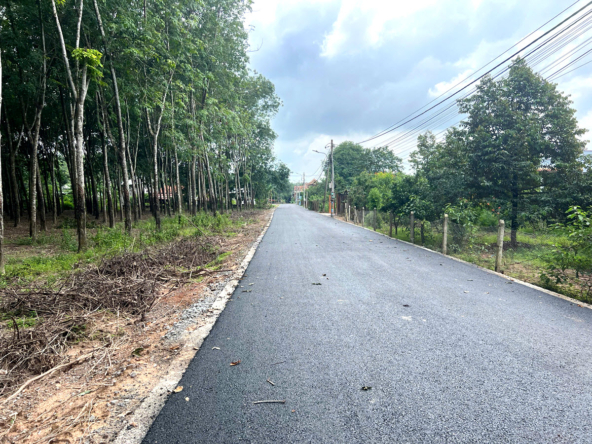 ban dat Hoa Loi Ben Cat