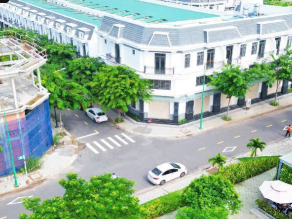 Dat nen Hoa Loi Ben Cat