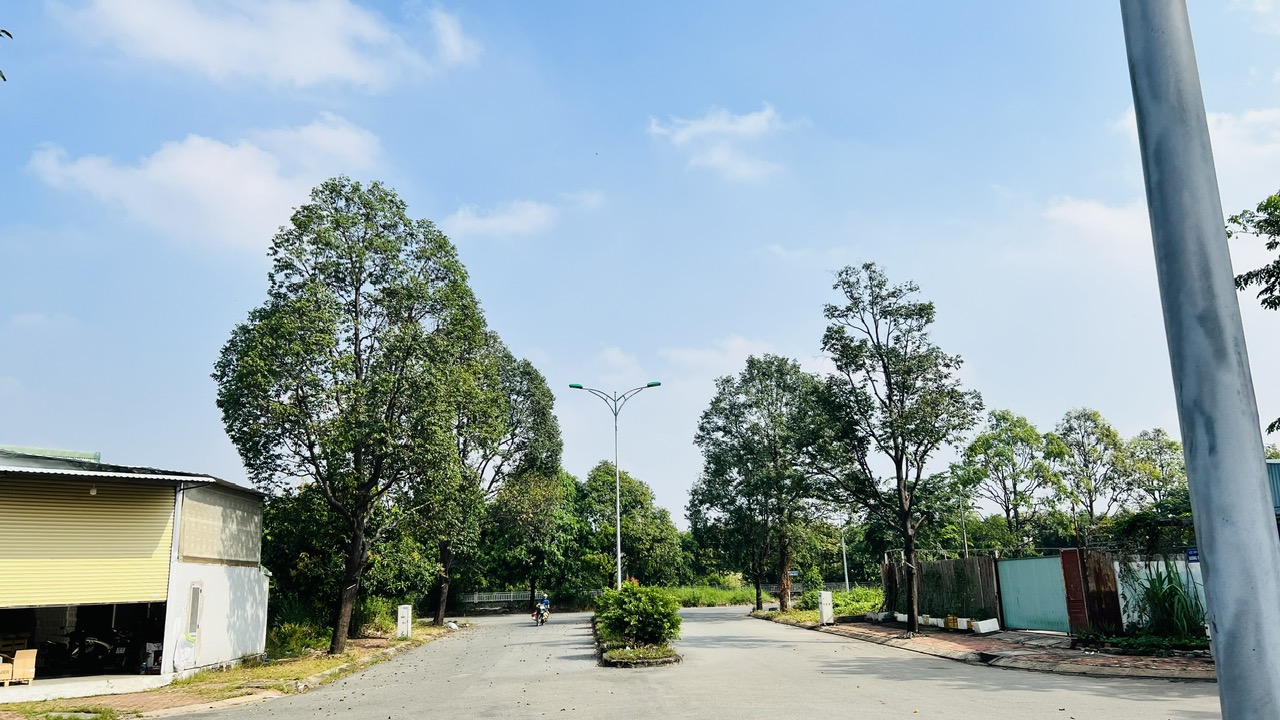 dat nen vinh phu thuan an