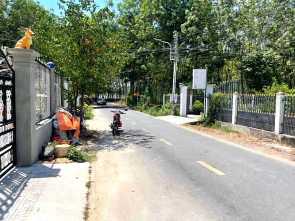 dat-nen-Hoa-Loi-Ben-Cat