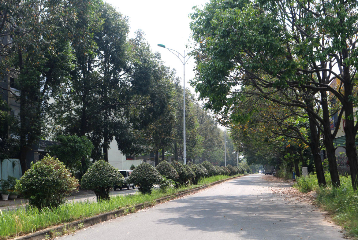 dat nen Vinh Phu Thuan An