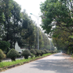 dat nen Vinh Phu Thuan An