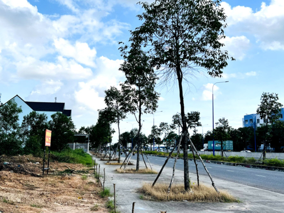 Cho thuê 20.000m2 đất mặt đường Mỹ Phước – Tân Vạn, Thuận An làm depot, bãi container