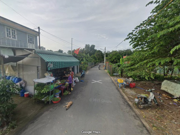 ban dat nen hoa loi ben cat