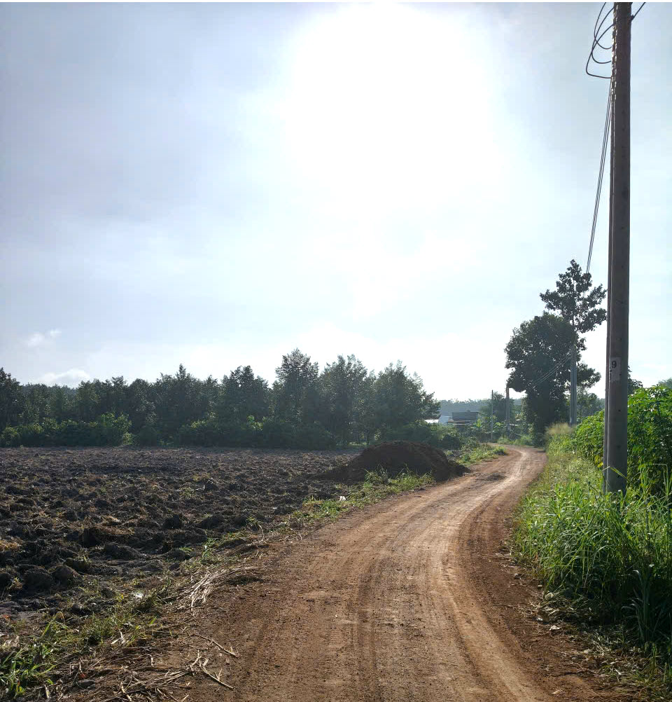 Siêu phẩm!!! bán 1.8 ha đất làm trang tại, nhà vườn tại Minh Thạnh, Dầu Tiếng, BD