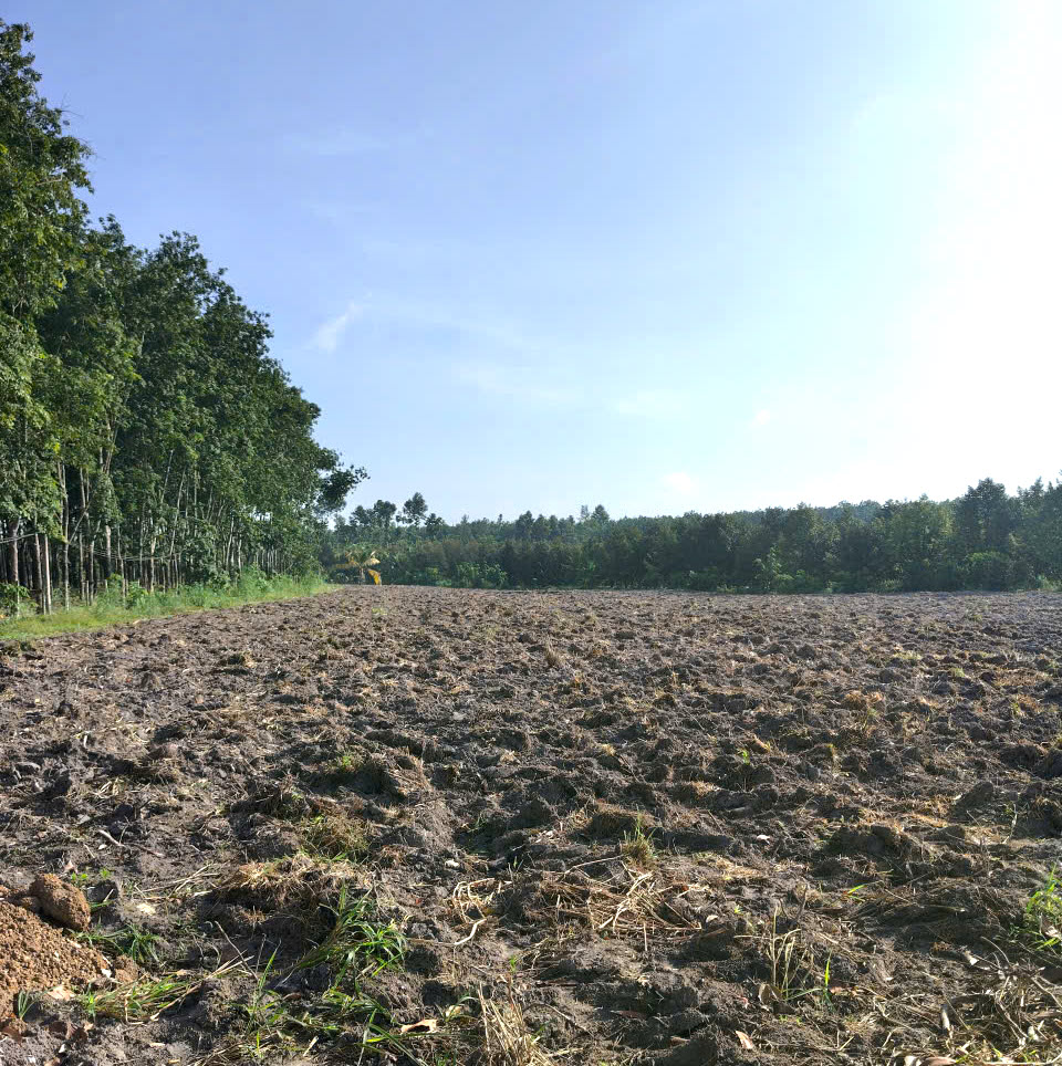 Siêu phẩm!!! bán 1.8 ha đất làm trang tại, nhà vườn tại Minh Thạnh, Dầu Tiếng, BD
