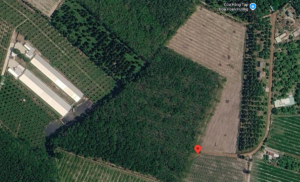 Siêu phẩm!!! bán 1.8 ha đất làm trang tại, nhà vườn tại Minh Thạnh, Dầu Tiếng, BD
